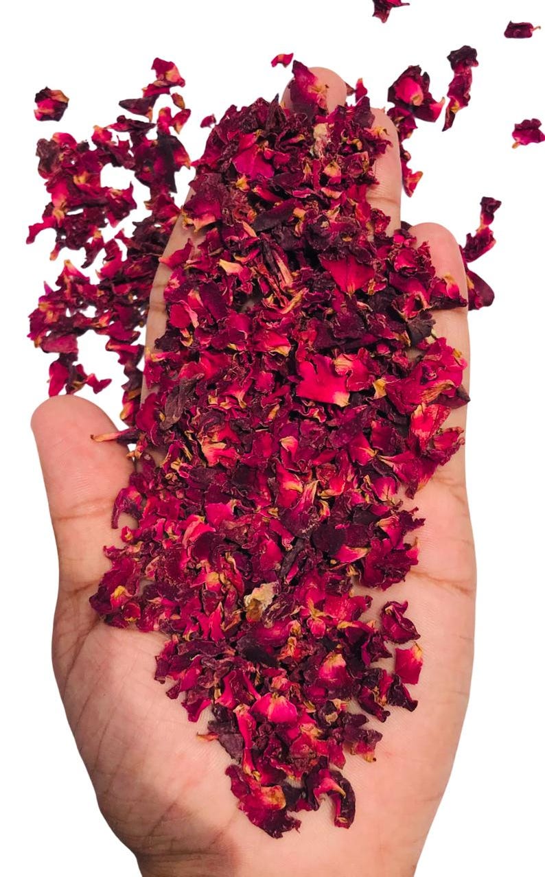 May include: A hand holding a pile of dried rose petals. The petals are a deep red color with some yellow and brown hues. The image is set against a white background.