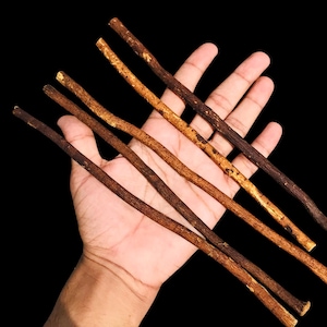 Könnte beinhalten: Eine Hand hält mehrere braune, schlanke Stäbe in verschiedenen Farbtönen, von hellem Beige bis zu dunklem Braun. Die Stäbe haben ein natürliches, strukturiertes Aussehen, wobei einige hellere Flecken aufweisen. Der Hintergrund ist einfarbig schwarz.