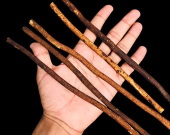 Bastoncini di Miswak biologici: spazzolino da denti tradizionale islamico in legno d'ulivo