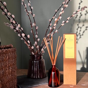Natural Reed Diffuser - Orange, Cinnamon & Clove - plant based oils - 100ml - no alcohol or glycol.