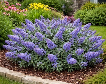 Pugster Blue® Butterfly Bush