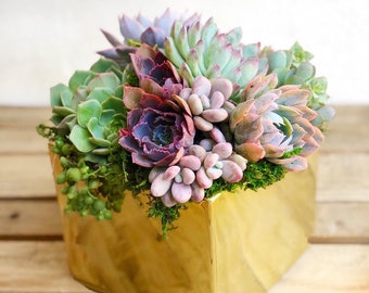 Elegant Ceramic Succulent Planter in Gold or Platinum Metallic. Mother's Day, Host gift, girlfriend gift, client gift, succulent gift