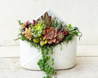 Sending Love Ceramic Envelope Planter Filled with Succulents