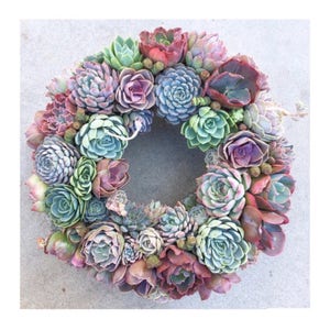 Multiple sizes, Succulent "Bouquet" Wreath, Succulent Front Door Wreath, Housewarming Gift, Mother's Day Gift, Easter gift, Succulent Gift