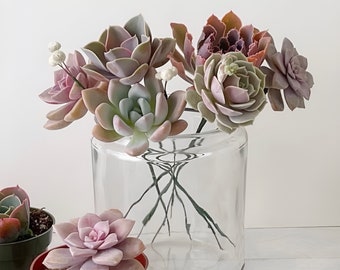 4” Succulents with Prepared Wire Stems for DIY Floral