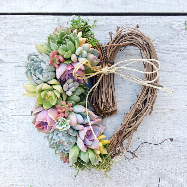 Gorgeous Succulent Heart Wreath, thank you gift, host gift, birthday gift, bereavement gift, succulent gift, sympathy gift, Valentines gift image 2