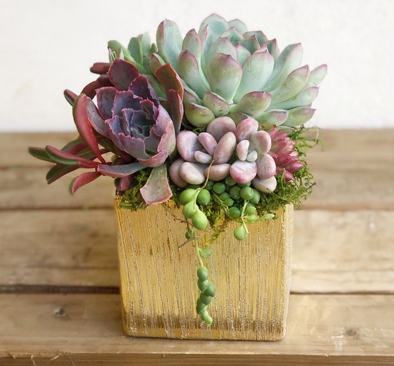 Elegant Glazed Brushed Gold Succulent Arrangement, table decor, succulent gift, client gift, image 4