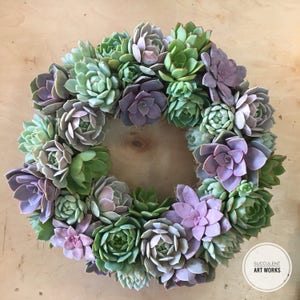 Succulent Wreath, Ashley Wreath, Wedding Day Wreath, Housewarming Gift, Birthday Gift, Easter Gift, Mother's Day gift, Succulent Gift