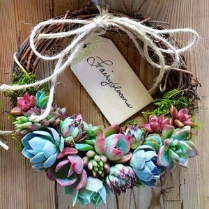 Trending 8 colorful Living Succulent Wreath, Juliette Wreath, Valentine's gift, girlfriend gift, hostess gift, grapevine, Succulent Gift image 6