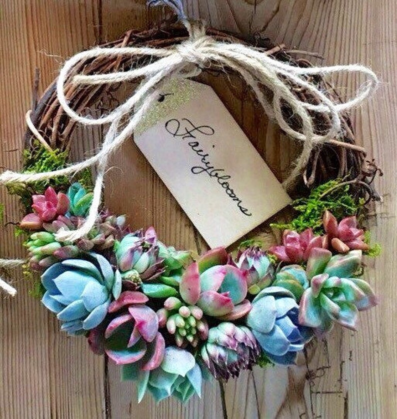 Trending 8 colorful Living Succulent Wreath, Juliette Wreath, Valentine's gift, girlfriend gift, hostess gift, grapevine, Succulent Gift image 6