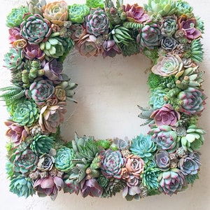 Square Shaped Succulent Wreath, Mother's Day, Wedding Day Wreath, Housewarming Gift, Birthday Gift, Succulent Gift, Thank You Gift