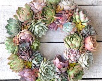 Succulent Julia Wreath, Door Wreath, Living Wreath, Mother's Day Gift, Easter gift, House Warming Gift, Birthday Gift, Succulent Gift