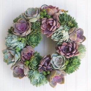 Succulent Wreath, Ashley Wreath, Wedding Day Wreath, Housewarming Gift, Birthday Gift, Easter Gift, Mother's Day gift, Succulent Gift image 3