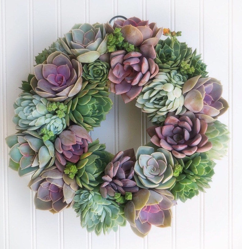 Succulent Wreath, Ashley Wreath, Wedding Day Wreath, Housewarming Gift, Birthday Gift, Easter Gift, Mother's Day gift, Succulent Gift image 3