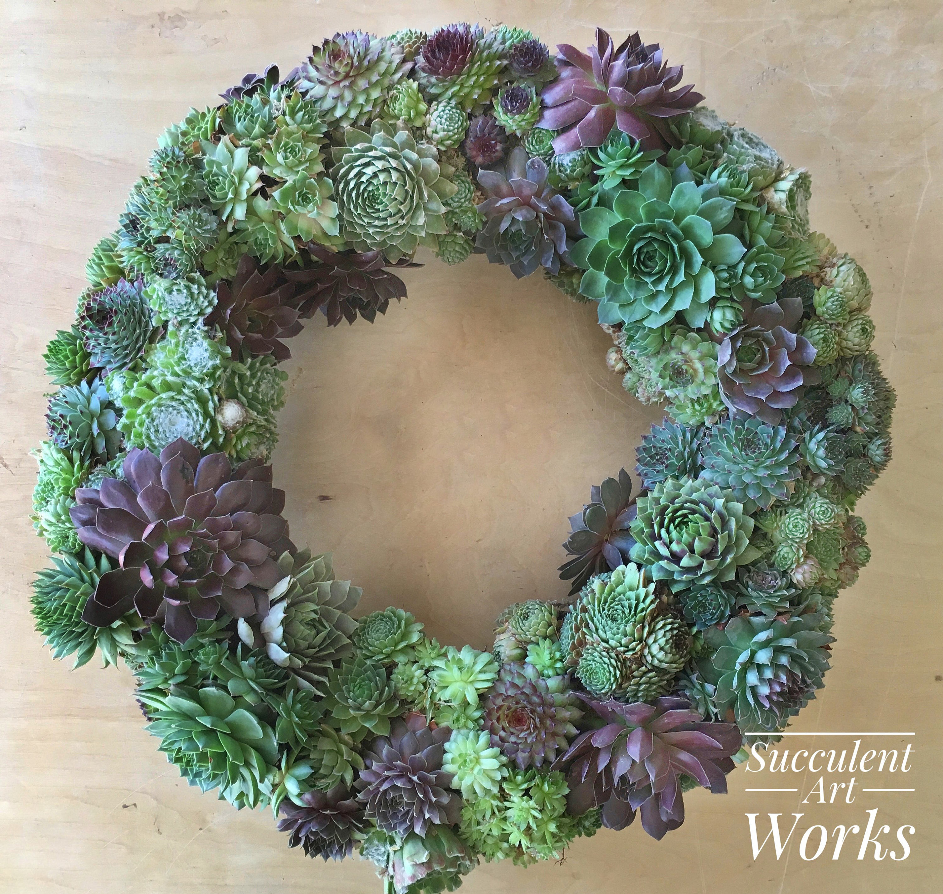 Succulent Wreath Front Door Wreath Housewarming Gift Etsy