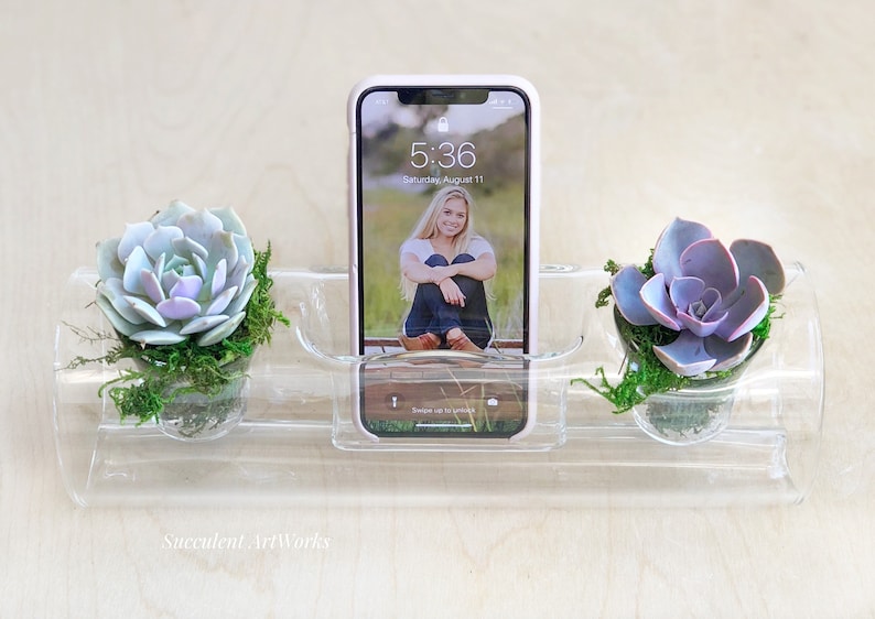 Glass Succulent Planter With Cell Phone Holder That Amplifies Etsy