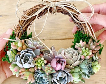 Trending! 8" colorful Living Succulent Wreath, "Juliette Wreath", Valentine's gift, girlfriend gift, hostess gift, grapevine, Succulent Gift