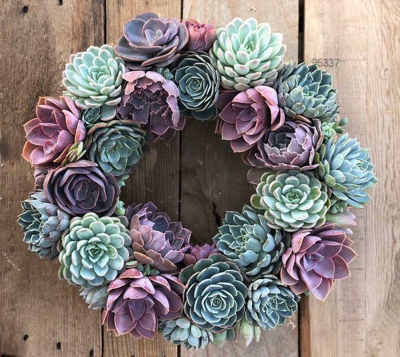 Succulent Wreath in Shades of Lavender and Blue, Valentine's Day Gift, Mother's Day Gift, Living Wreath, Wedding Day Wreath, Succulent Gift imagem 2