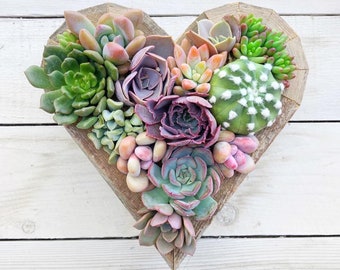 succulents in heart shape, vertical garden, succulent planter, Christmas gift, girlfriend gift, holiday gift, wall decor, bereavement gift