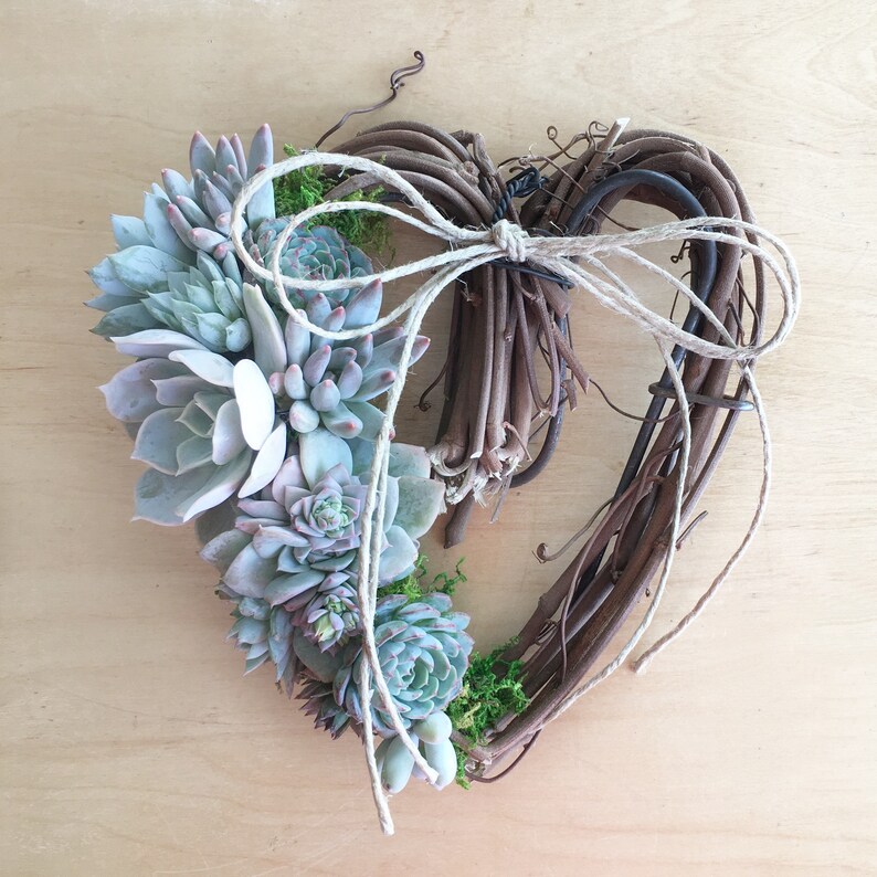 Gorgeous Succulent Heart Wreath, thank you gift, host gift, birthday gift, bereavement gift, succulent gift, sympathy gift, Valentines gift image 3