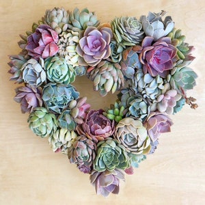 Succulent Heart Shape Wreath, Valentine's Day, Wedding Wreath, Anniversary Gift, Mother's Day Gift, Housewarming gift, Succulent Artworks