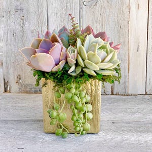 Elegant Glazed Brushed Gold Succulent Arrangement, table decor, succulent gift, client gift,
