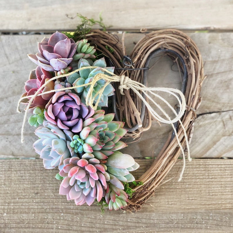 Gorgeous Succulent Heart Wreath, thank you gift, host gift, birthday gift, bereavement gift, succulent gift, sympathy gift, Valentines gift image 6