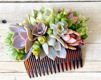 Succulent brides Comb