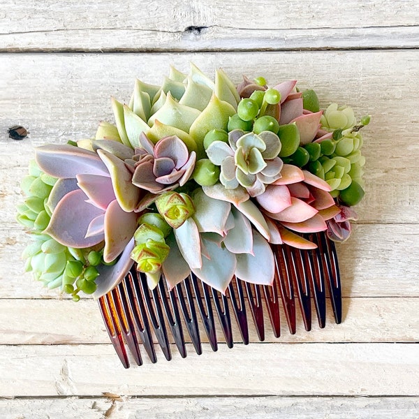 Succulent brides Comb