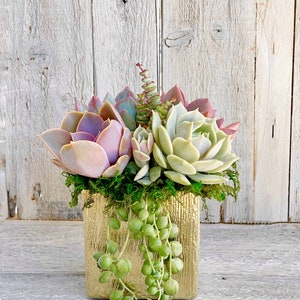 Elegant Glazed Brushed Gold Succulent Arrangement, table decor, succulent gift, client gift, image 1