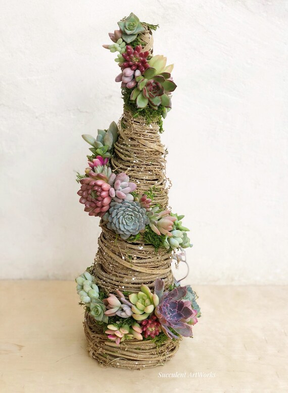 Live Succulents Trim Our Shimmering Grapevine Tree Event Etsy Singapore