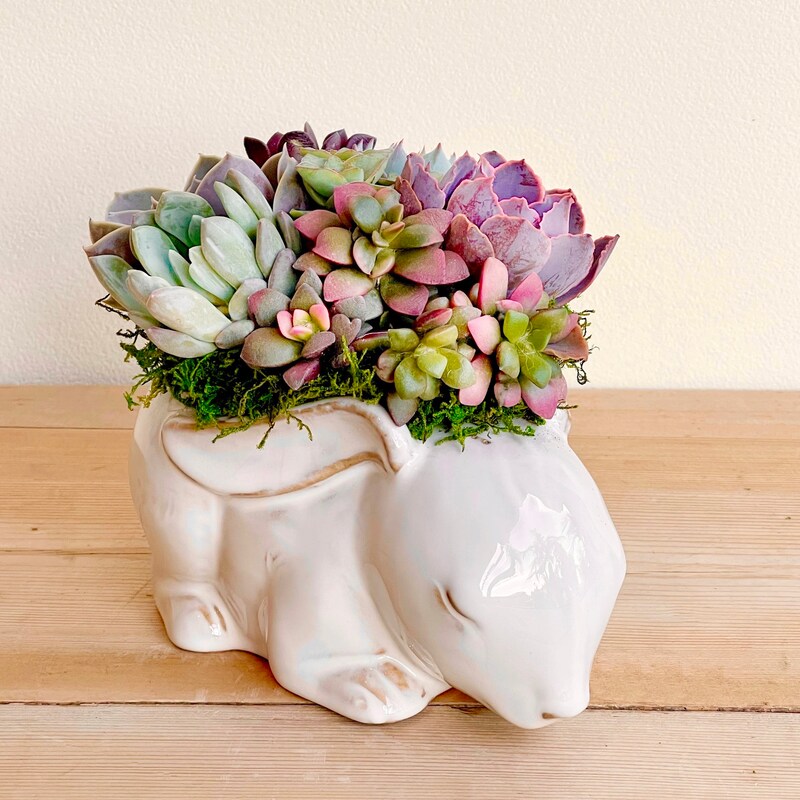 Rabbit Planter - Etsy