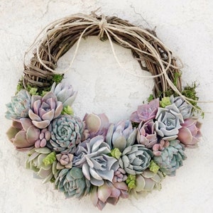 Trending 8 colorful Living Succulent Wreath, Juliette Wreath, Valentine's gift, girlfriend gift, hostess gift, grapevine, Succulent Gift image 2