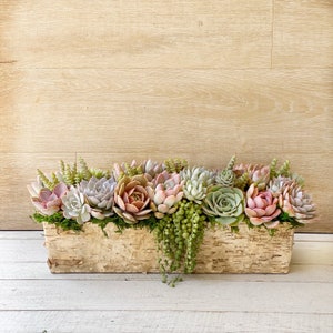 Best Selling Classic Birch Trimmed Succulent Arrangement, table top decor, Mother's Day gift, Client gift, succulent gift, rustic decor image 3
