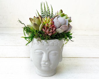 Popular Mini Buddha planter, live succulents, Zen garden, colorful plants, meditation planter