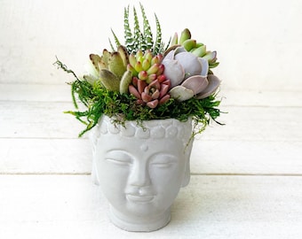 Popular Mini Buddha planter, succulents, Zen garden, colorful plants, meditation planter