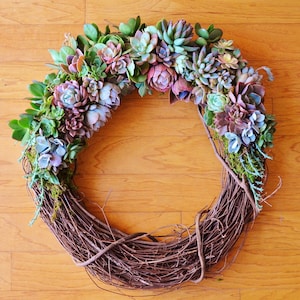 Large 26&quot; Succulent Kimberly Wreath, Grapevine Trimmed With Succulents, Easter Wreath, Mother&#39;s Day gift, Wedding Day Decor