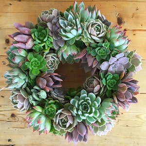 Succulent Wreath, Ashley Wreath, Wedding Day Wreath, Housewarming Gift, Birthday Gift, Easter Gift, Mother's Day gift, Succulent Gift image 2