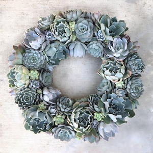 Shades of Blue Succulent Wreath, front door wreath, living wreath, Valentine's Day wreath, home decor wreath, elegant gift, succulent gift
