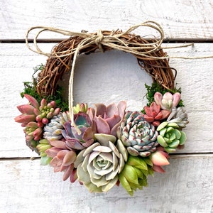 Best Seller! 6&quot; Succulent &quot;Juliette&quot; Wreath, Grapevine wreath trimmed with Succulents, Succulent Gift, Client gift