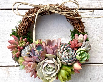 Best Seller! 6" Succulent "Juliette" Wreath, Grapevine wreath trimmed with Succulents, Succulent Gift, Client gift