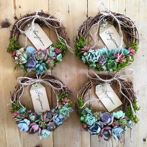 Trending 8 colorful Living Succulent Wreath, Juliette Wreath, Valentine's gift, girlfriend gift, hostess gift, grapevine, Succulent Gift image 5