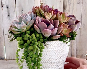 Big Ceramic Basket Planter