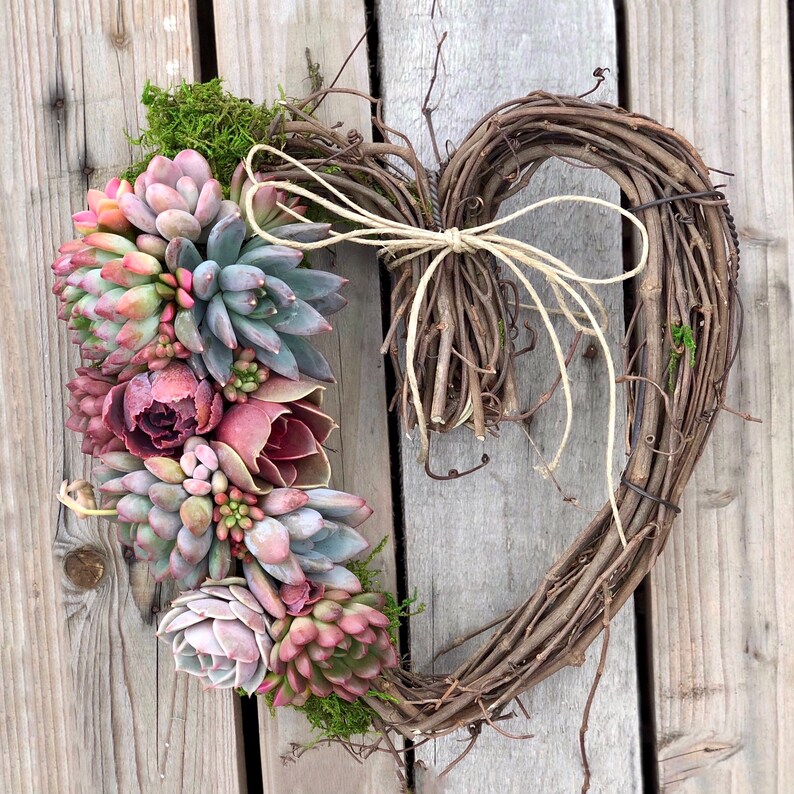 Gorgeous Succulent Heart Wreath, thank you gift, host gift, birthday gift, bereavement gift, succulent gift, sympathy gift, Valentines gift image 5