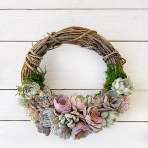 10&quot; Succulent trimmed grapevine Wreath, hostess wreath, trending decor, grapevine, birthday gift, housewarming gift, teacher&#39;s gift!