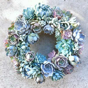 Succulent Wreath in Shades of Lavender and Blue, Valentine's Day Gift, Mother's Day Gift, Living Wreath, Wedding Day Wreath, Succulent Gift image 1