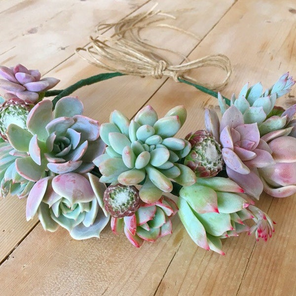 Succulent Crown, bride's crown, wedding crown, floral crown, bride maid crown, hair accessories, customized for you!