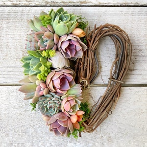 Gorgeous Succulent Heart Wreath, thank you gift, host gift, birthday gift, bereavement gift, succulent gift, sympathy gift, Valentines gift image 1