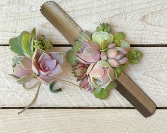 Fresh Succulent Botonniere with Magnetic Aid for Easy Placement — Stems