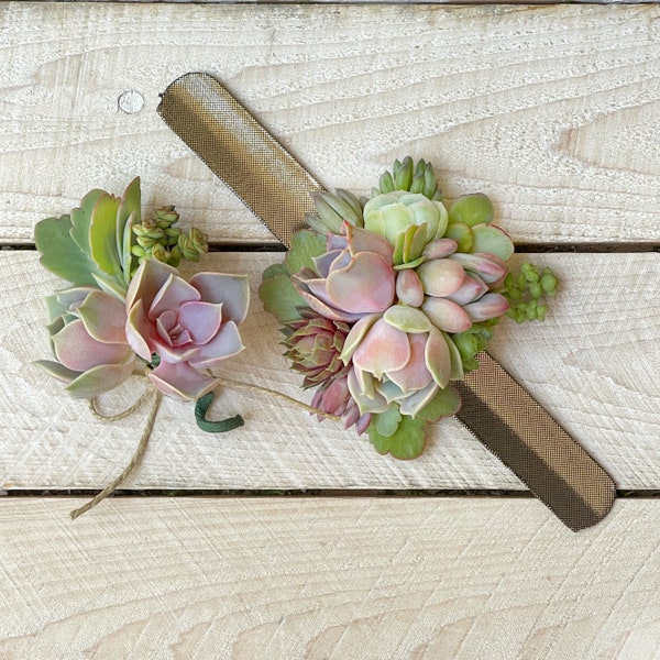 Succulent Boutonniere OR Succulent Corsage OR Wrist Corsage, Wedding Day Succulents, Wedding flowers, Groom Boutonniere,